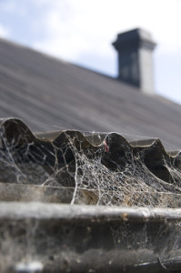 We do gutter cleaning in Boulder, CO